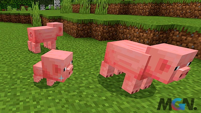 Minecraft Pigs